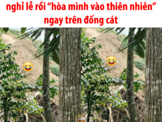 Phát hiện đôi nam nữ nghỉ lễ rồi hòa mình vào thiên nhiên trên đống cát